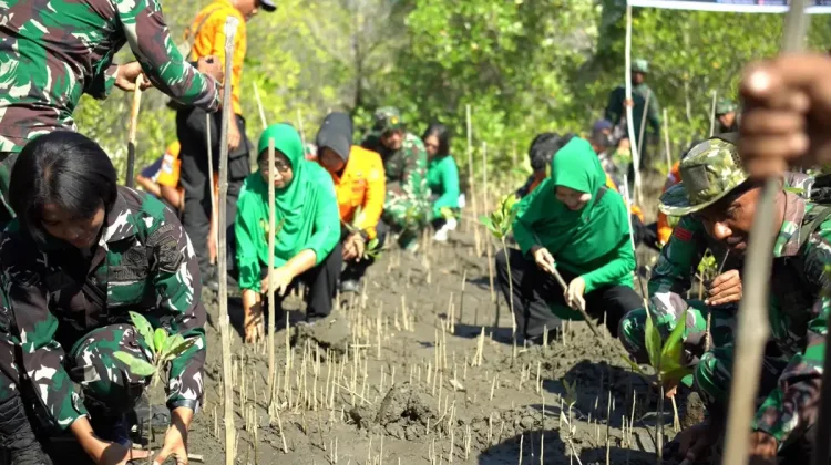 Kodim Sikka Tanam Bakau Peringati HUT TNI