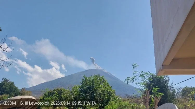 Abu Vulkanik Ile Lewotolok Ganggu Aktivitas Pertanian dan Ternak Warga Lembata