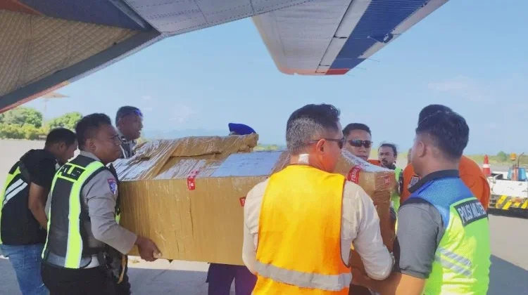 Pulang untuk Selamanya, Jejak Pengabdian drh. Alfonsius di Tanah Papua