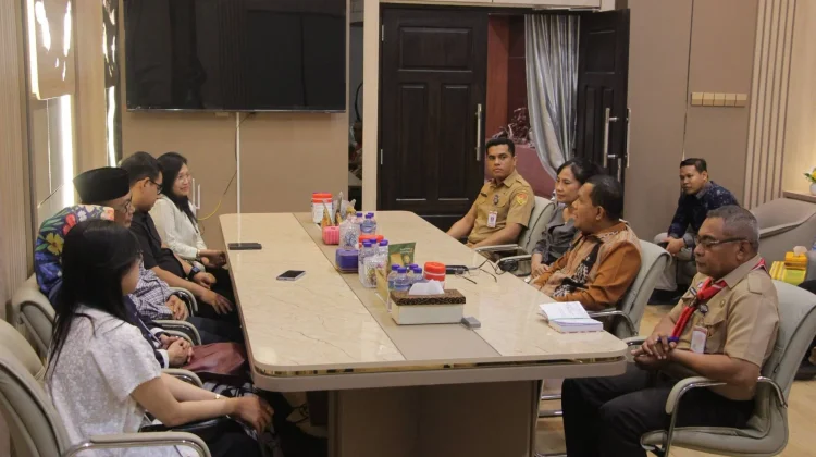 Gubernur NTT dan BKN Bahas Penguatan Manajemen Talenta ASN
