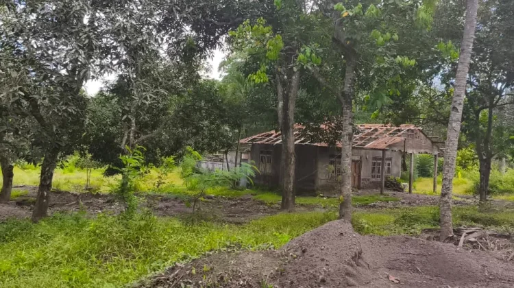 Pengadaan Lahan Jadi Tantangan Relokasi Penyintas Lewotobi
