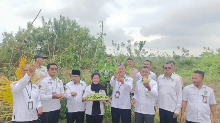Dari Gerakan Menanam ke Panen, Ekoteologi Kemenag Manggarai Timur Beri Hasil Nyata