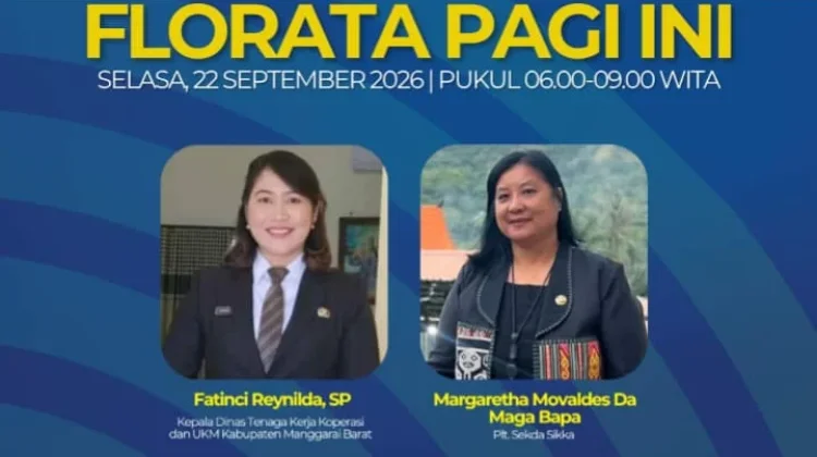 Pemulihan Palue Terkendala Akses dan Longsor Pascagempa
