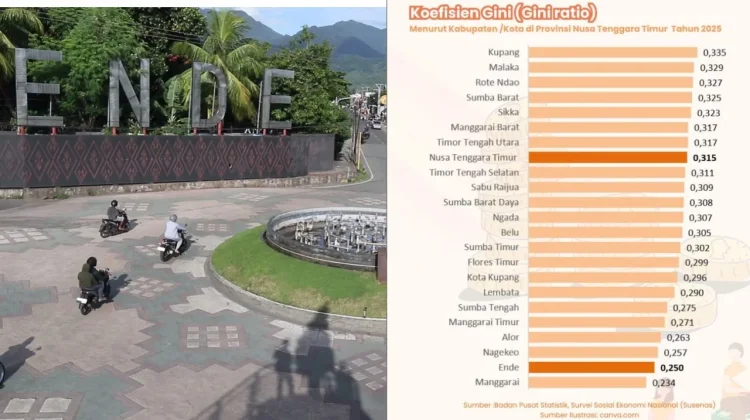 Gini Ratio Ende 2025 Capai 0,250, Lebih Rendah dari NTT
