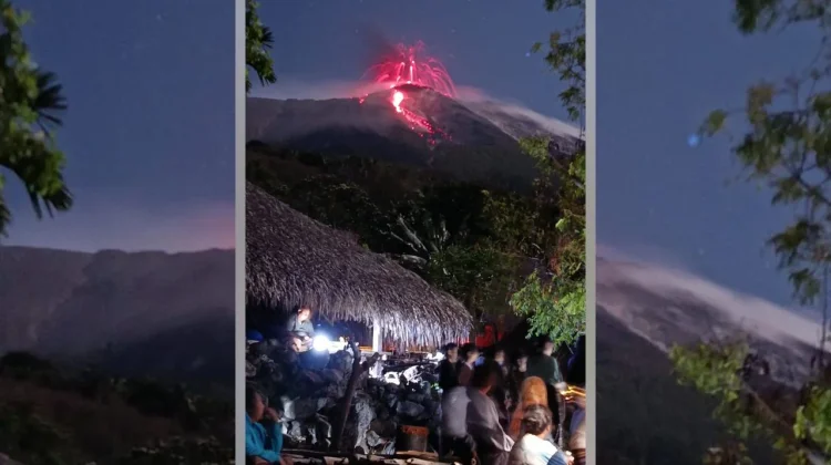 Pesta Kacang Lewohala Tetap Berlangsung di tengah Erupsi Lewotolok