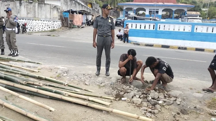 Satpol PP Ende Pagar Sempadan Pantai Ndao