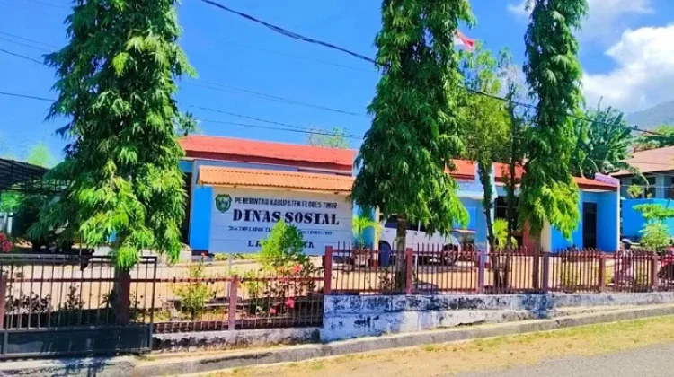Layanan Perlinsos Gratis, Dinsos Flotim Minta Warga Laporkan Oknum Pungli