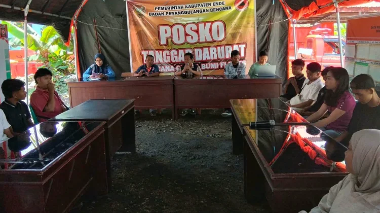 Verifikasi Lanjutan Sasar 4.000 Titik Kerusakan Rumah akibat Gempa di Ende
