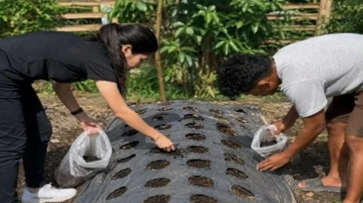 Bangun Sistem Pertanian Terpadu, OMK Pax Christi Mbaumuku Usung Circular Farming