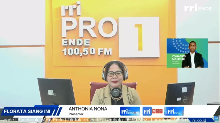 Yohanes Dorong Akses Kerja Disabilitas Lewat Pijat Terapi