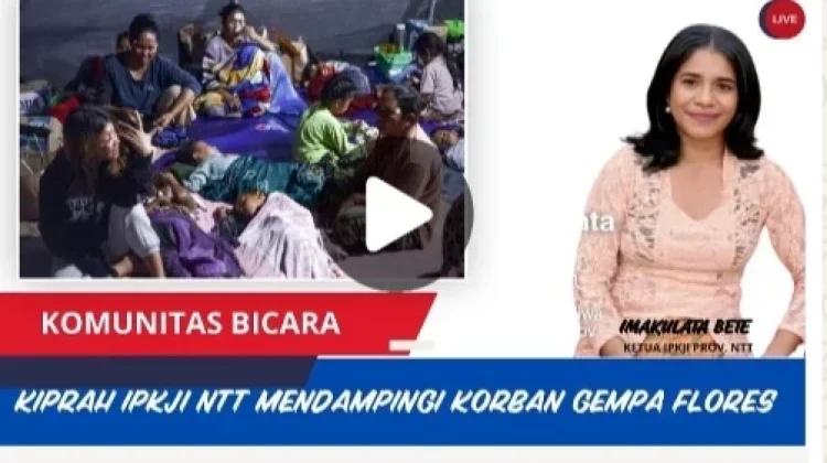 IPKJI NTT Temukan Trauma dan Kecemasan Korban Gempa Flores