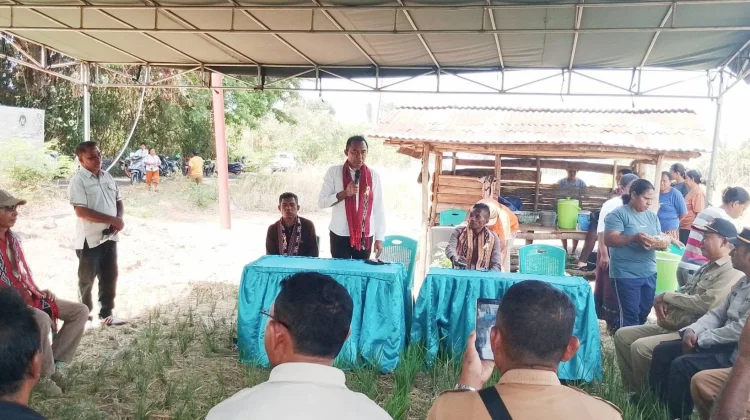 Tani Merdeka Kawal Pengembangan 83 Hektare Sawah di Desa Wure