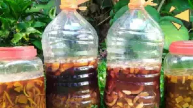 Eco Enzim, Solusi Olah Limbah Organik di Nangapanda