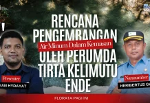 Kapasitas dan Pompanisasi Jadi Tantangan Perumda Tirta Kelimutu