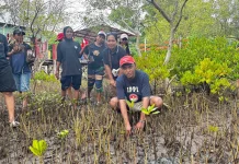 Relawan SPPG Tanam 60 Mangrove di Nanga Banda