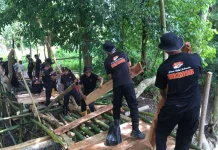 Brimob Labuan Bajo Bantu Warga Mbarata Bangun Jembatan Layak