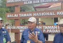 Kepala BTNK: Keindahan Wisata Ini Jangan Berhenti di Generasi Kita