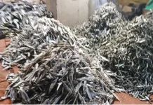 Harga ikan Kering di Pasar Inpres Ruteng Naik