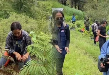 Komunitas di Ngada Tanam Ratusan Pohon di Sekitar Mata Air Lugo Lengi