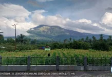 Status aktivitas Gunung Lewotobi Laki-laki di Flores Timur Laki-laki Turun Waspada