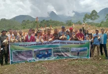 Panen Raya Jagung Desa Nao Bukti Dana Desa Produktif