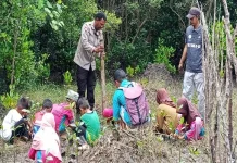 Siswa Nangahale Tanam Mangrove Cegah Abrasi