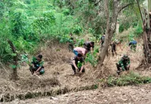 TMMD Ke-127, Kodim Sikka Tanam Pohon Produktif di Desa Werang