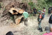 Babinsa Reok Bersama Warga Bersihkan Longsor di Desa Robek
