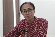 Krisis Dokter, Lima Puskesmas Ende tanpa Tenaga