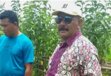DPRD NTT Tinjau Jalan Rusak Wewaria