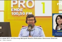 Pangan Lokal Jadi Basis Ekonomi Daerah