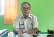 Perkebunan Sikka Sumbang Rp1,3 Triliun Per Tahun