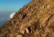 Keselamatan Wisatawan Prioritas Tour Guide Flores