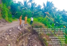 Akses Jalan Terancam Putus, Dinas PU Ende Siapkan Penanganan Darurat di Wolotopo