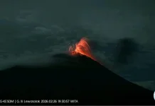 Gunung Ili Lewotolok Erupsi, Kolom Abu Capai 250 Meter