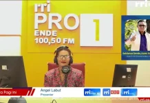 Kompetisi Digital Marketing, Panorama Alam Flores Bantu Mahasiswa Bayar SPP