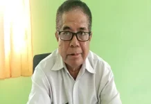 Tujuh Komoditas Perkebunan di Sikka Gerakkan Ekonomi Bernilai Triliunan