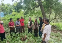 Pembangunan Tower Bersama di Ende Diawali dengan Ritual Adat