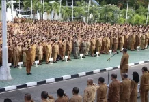Dilema P3K di NTT: antara Efisiensi Anggaran dan Ancaman Pengangguran
