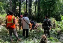 Babinsa Wulanggitang Bersihkan Jalan Persiapan Jembatan Boru Kedang