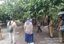Penetapan Kebun Entris Kakao di Nangapanda