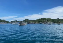 Kapal Wisata di Labuan Bajo Wajib Minimal 175 GT