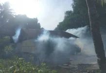 Lurah Mautapaga Apresiasi Fogging Cegah Demam Berdarah