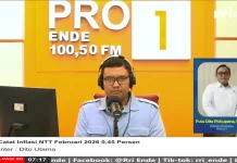 Harga Kebutuhan Naik, Inflasi NTT Capai 0,45 Persen