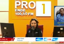 Kabupaten Sikka Terima 12 Dokter Internship Periode 2026–2027