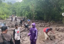 Babinsa Dan Warga Bersihkan Material Jalan Desa Nurabelen