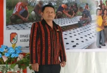 Dinas Pertanian Sikka Tingkatkan Pengawasan Rabies pada Hewan