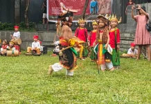 100 Anak Labuan Bajo Tampilkan Caci dan Sanda di Gua Batu Cermin