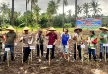 Dukung Swasembada Pangan 2026, Polres Flotim Ikut Tanam Jagung Serentak