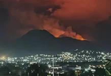 Kebakaran Vegetasi Terjadi di Lereng Gunung Iya Ende
